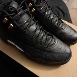 Air Jordan Retro 12 “The Master”  Size 11