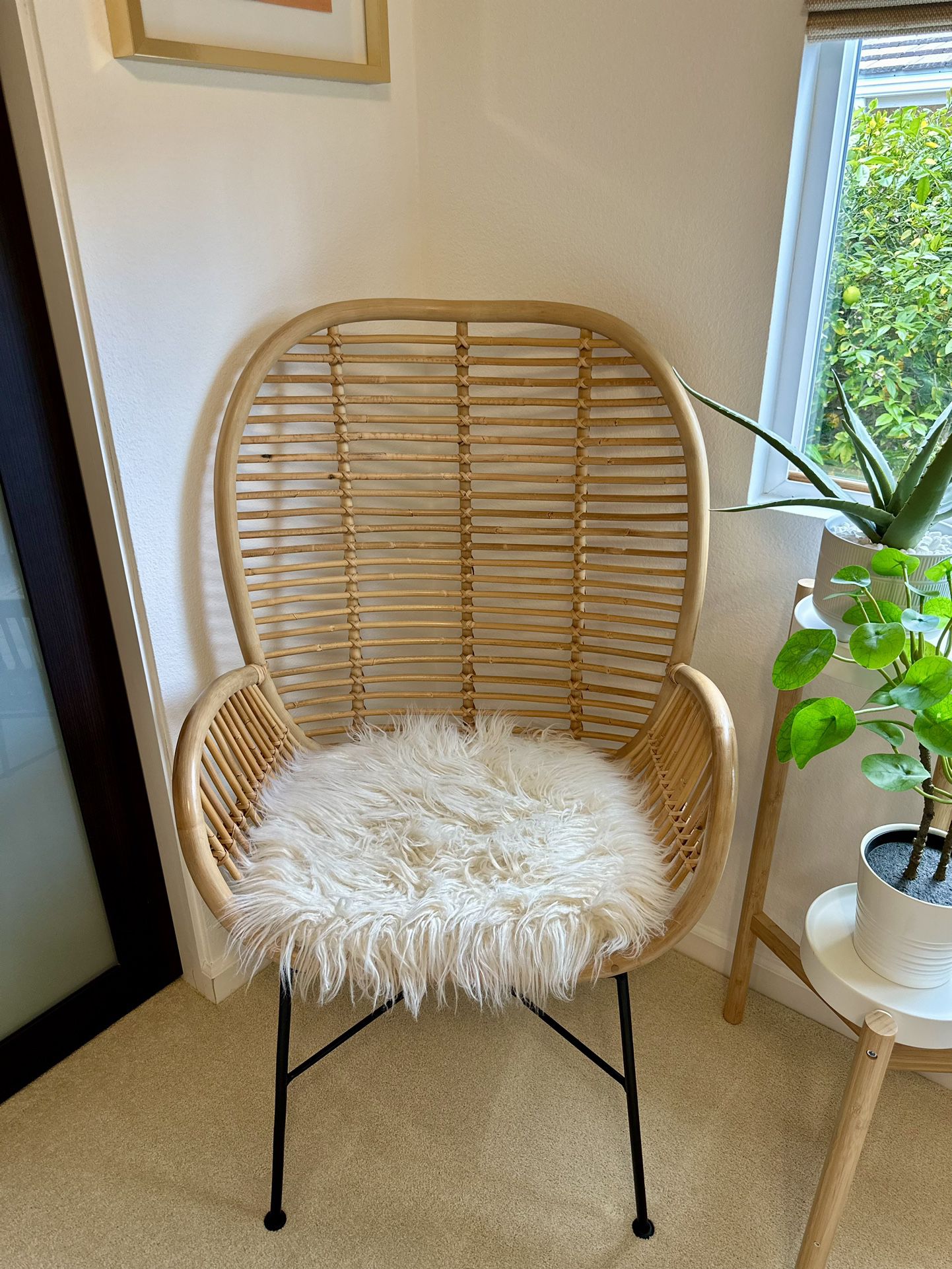 Opalhouse Rattan Arm Chair