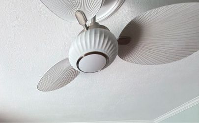 Fan with remote