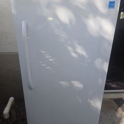 Stand up Freezer Chest Like New!