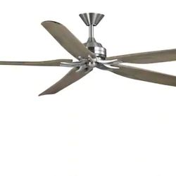 72in Indoor/Outdoor Ceiling Fan Danetree