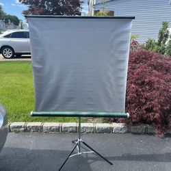 Projector Screen 