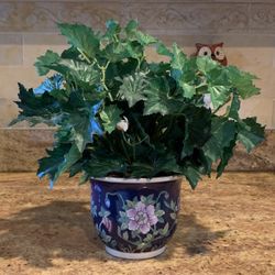 Artificial Plant - 2 Available - $10 Each 