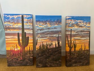 Three Panel Desert wall art