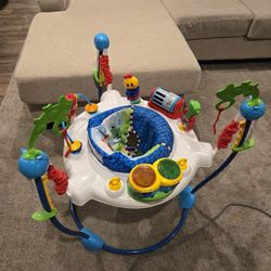 Baby Bouncer Chair Baby Einstein Bouncer