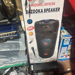 Karaoke speakers