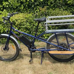 Radwagon Electric Cargo Bike