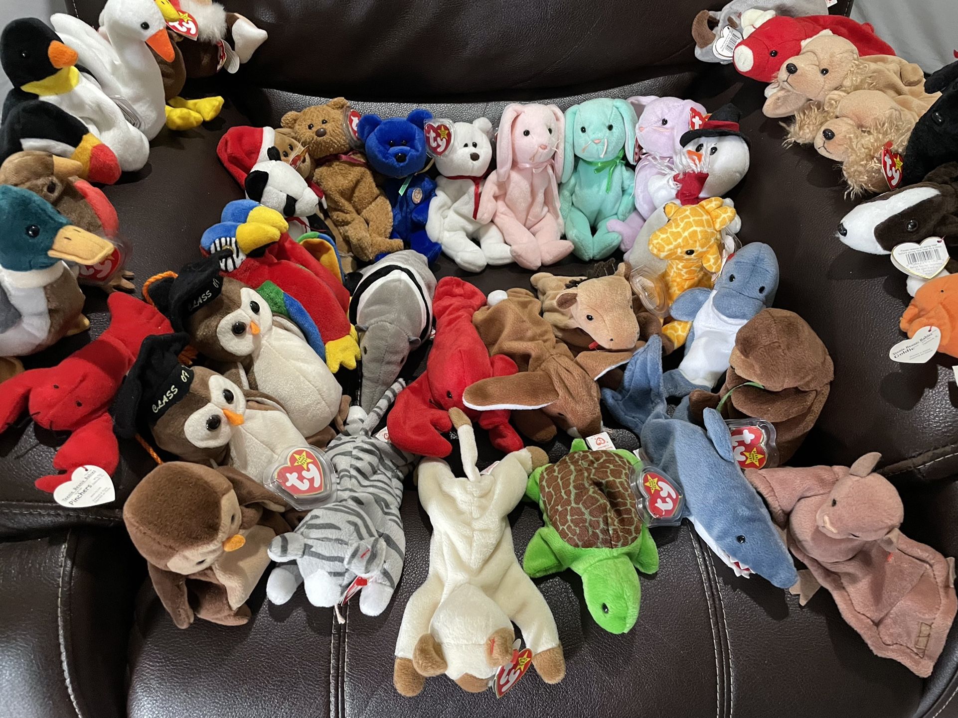 Beanie Babbies