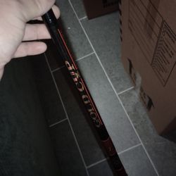Two Offshore Fishing Rod 