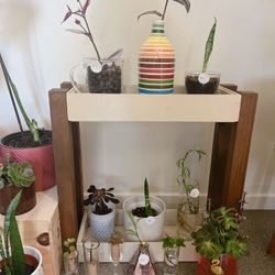 Beautiful Indoor And outdoor Plants Fundraiser 