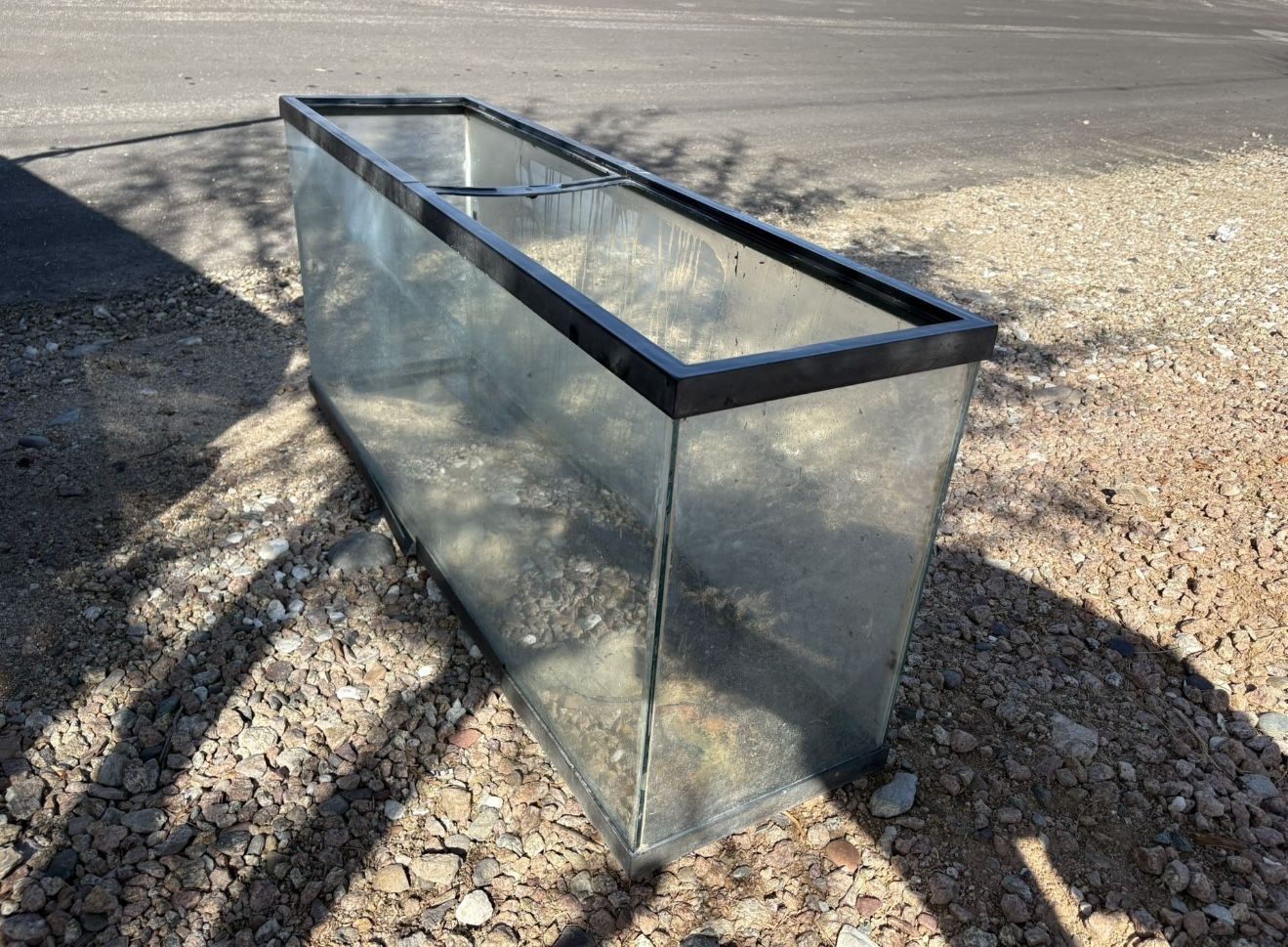 55 Gallon Fish Tank