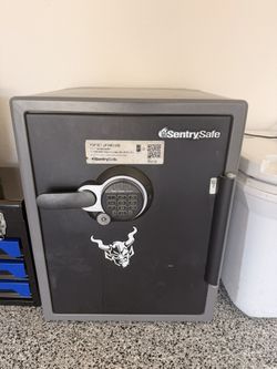 Sentry Safe