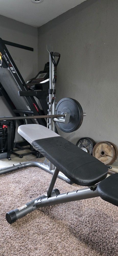 Workout Bench with Squat Rack, Leg Extension, Preacher Curl, and Weight Storage,