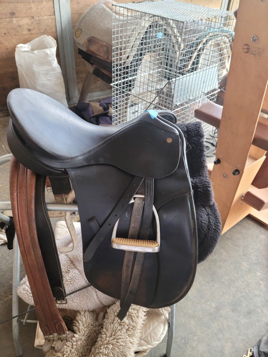 Dressage Saddle