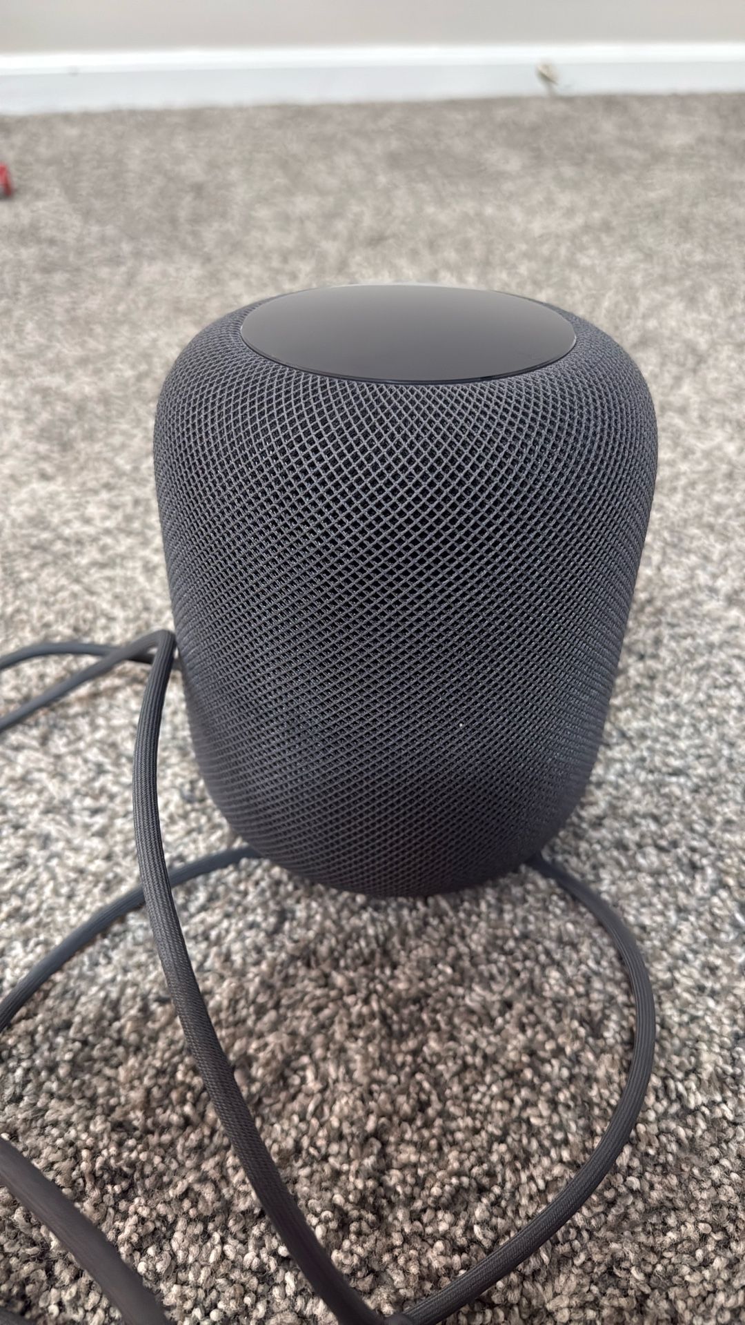 Apple Home Pod Only Twitter Working  (woofers Doesn’t Work)