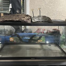 Turtle tank
