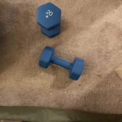 20 Pound Dumbells