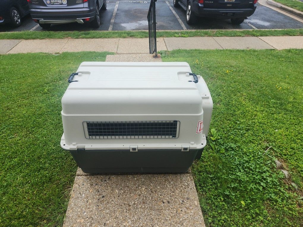 Dog Crate and Aircraft Crate