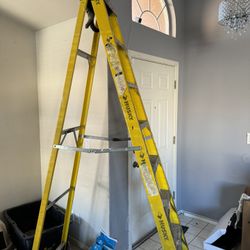 Husky Brand Ladder 