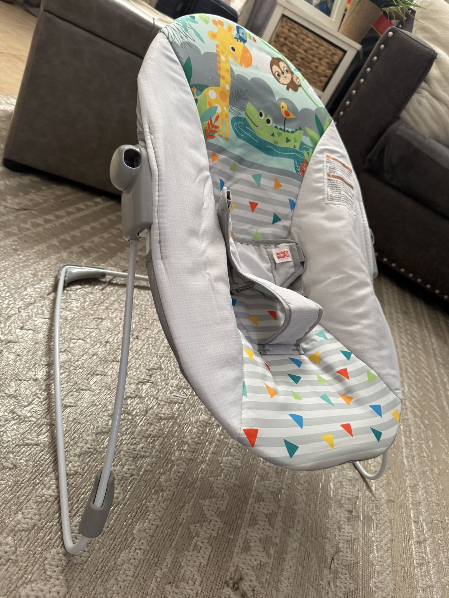 Vibrant baby bouncer