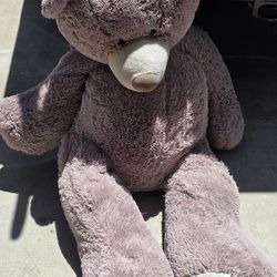 Free 4ft teddy bear