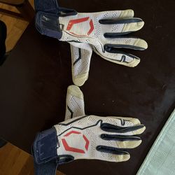 Evo shield Batting Gloves
