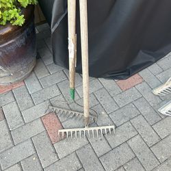 rakes 