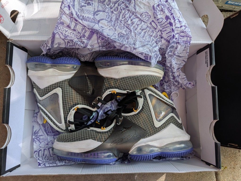 LeBron XiX