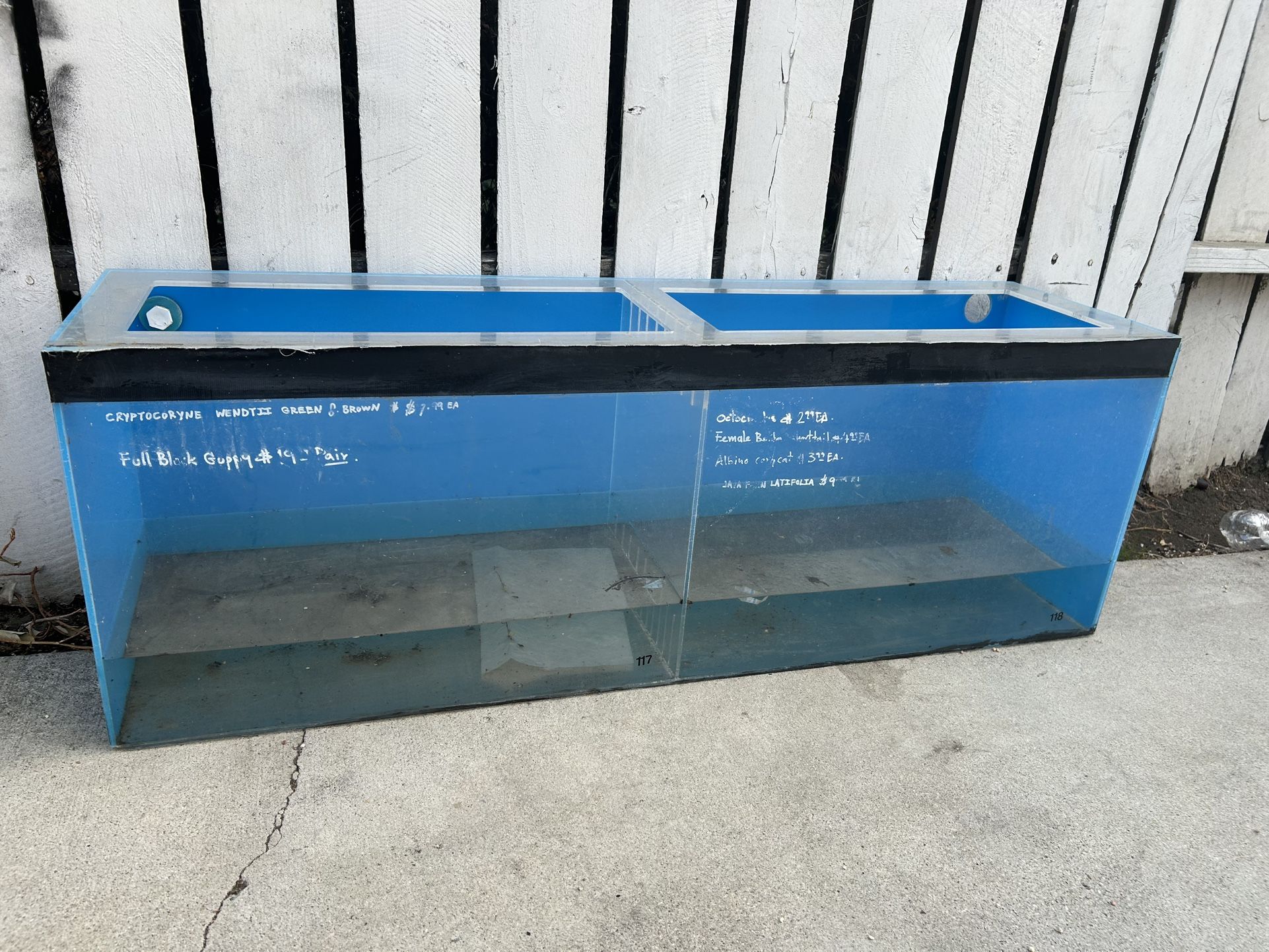 Acrylic Fish Tank