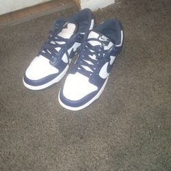 A Brand New Nikes They Never Been Weird