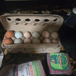 Fresh Chicken Eggs Free Range Organic Chandler 