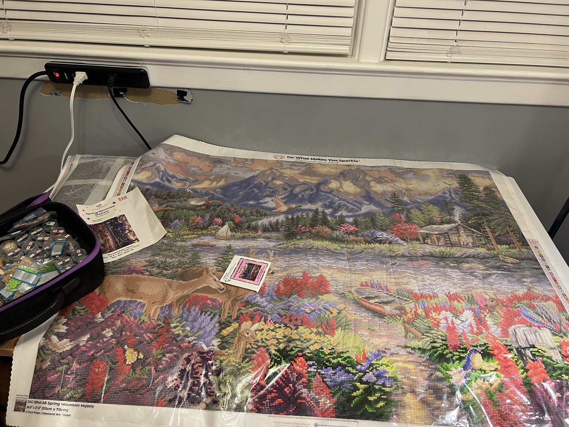 Diamond Art Club Painting