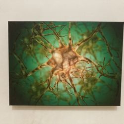 Cell Biology Printed Canvas Wall Decoration