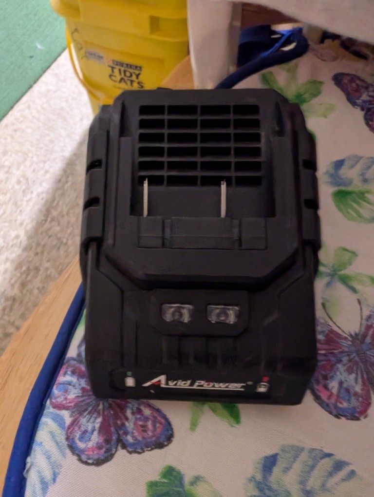 Avid Power Class 2 Battery Charger