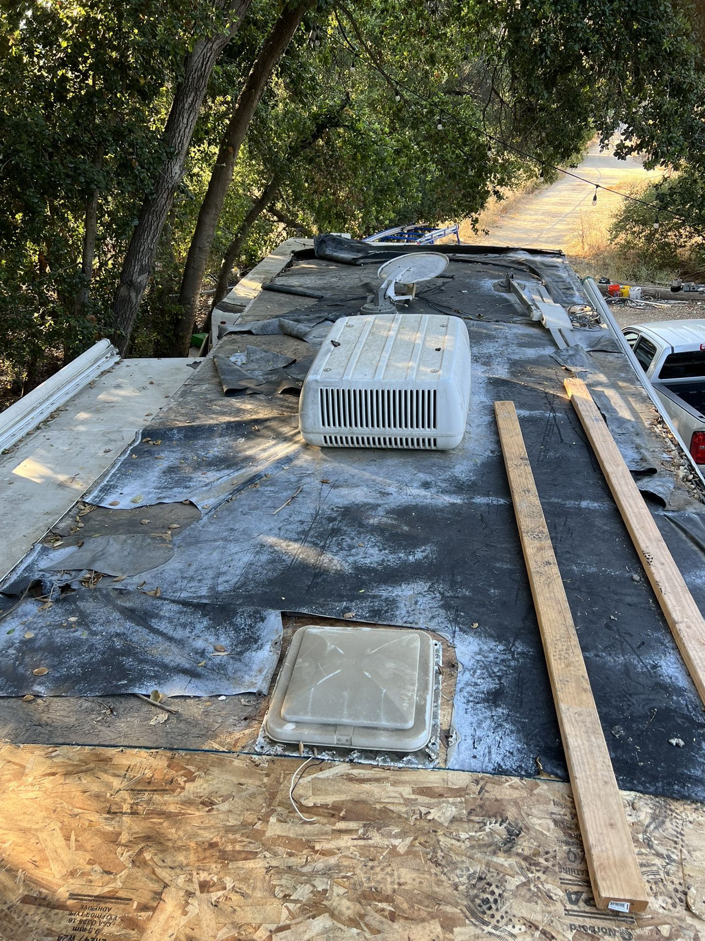 Water Damaged Techos Pizos