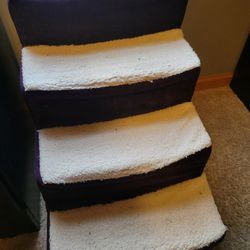 Small Dog Steps