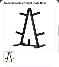 weighted plate rack