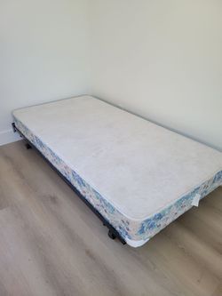 Twin bed frame and box springs
