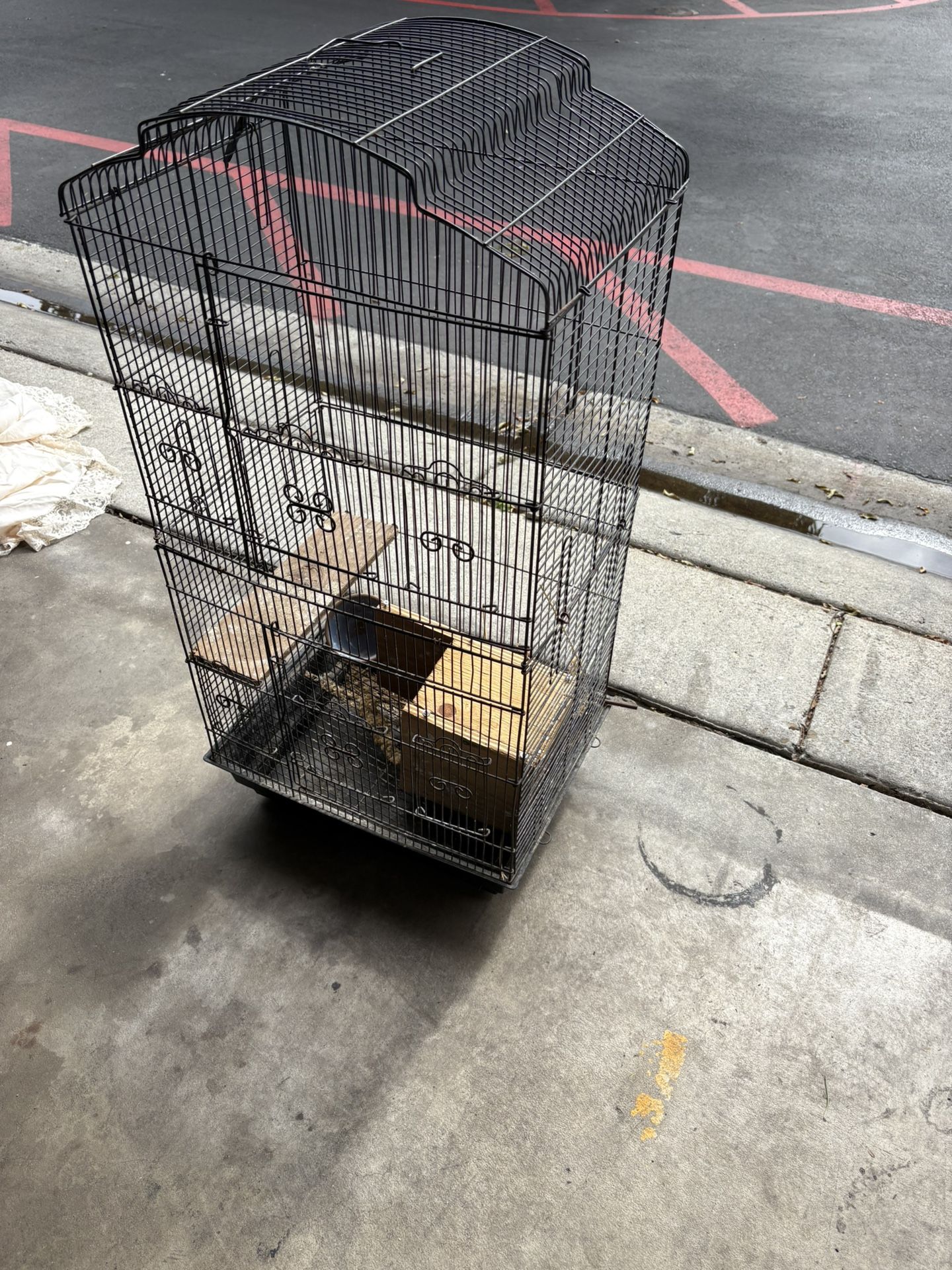 Bird Cage