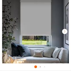 Chicology Cordless Blackout Window Roller Shade UV Protection Byssus White 27 in. W x 72 in. L