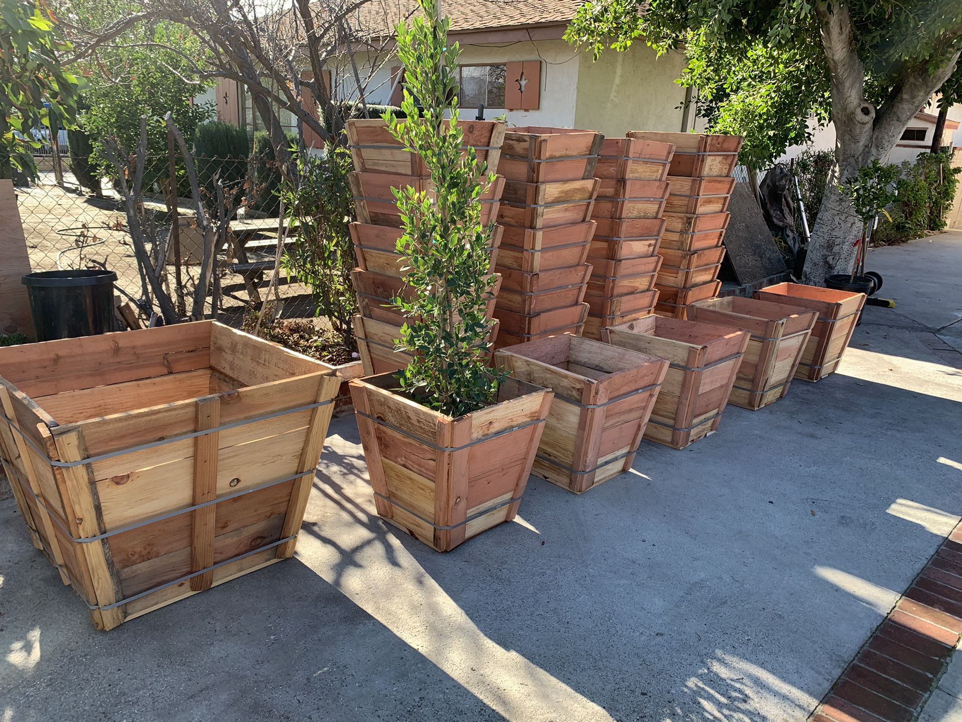 Redwood Garden Boxes