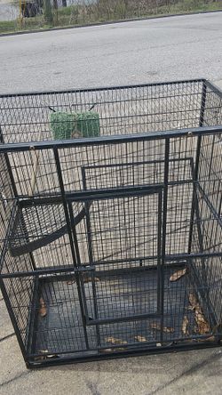 Birdcage