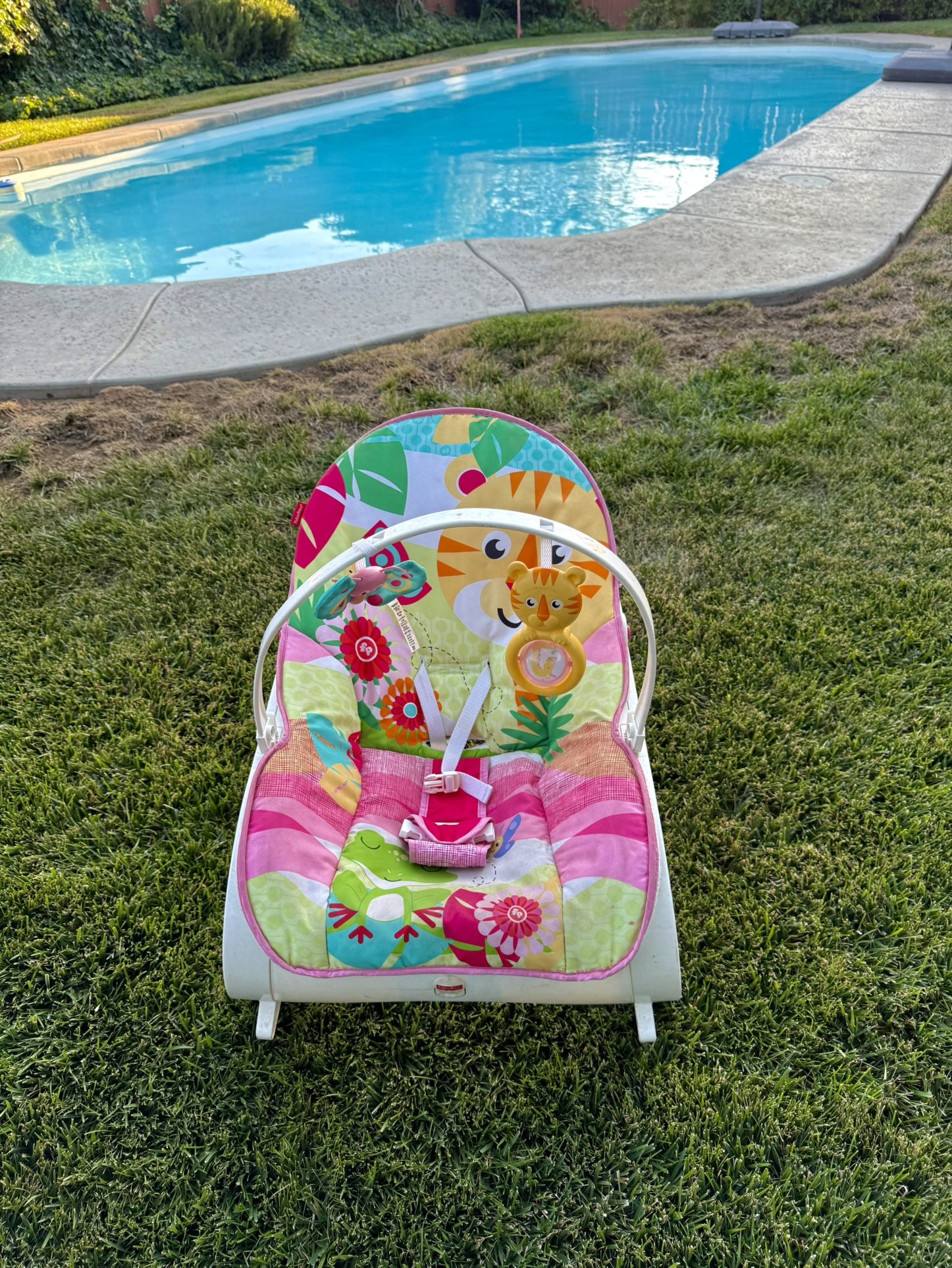 Baby Bouncer