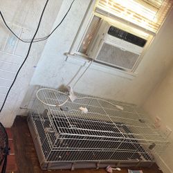 Guinea Pig Cage 