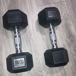 20 lb Dumbbells 