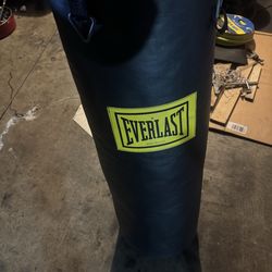 Everlast punching bag