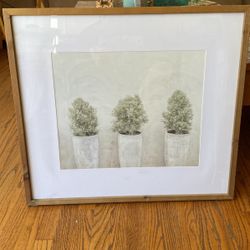 Picture Frame Of Pots