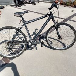 Just Cleaned And Tuned Up, Four Mountain Bikes