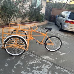 Triciclo de Carga Mercurio, Mercurio Cargo Tricycle