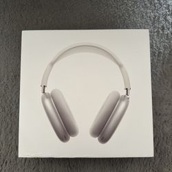 *NEW* Silver Airpod Pro Max